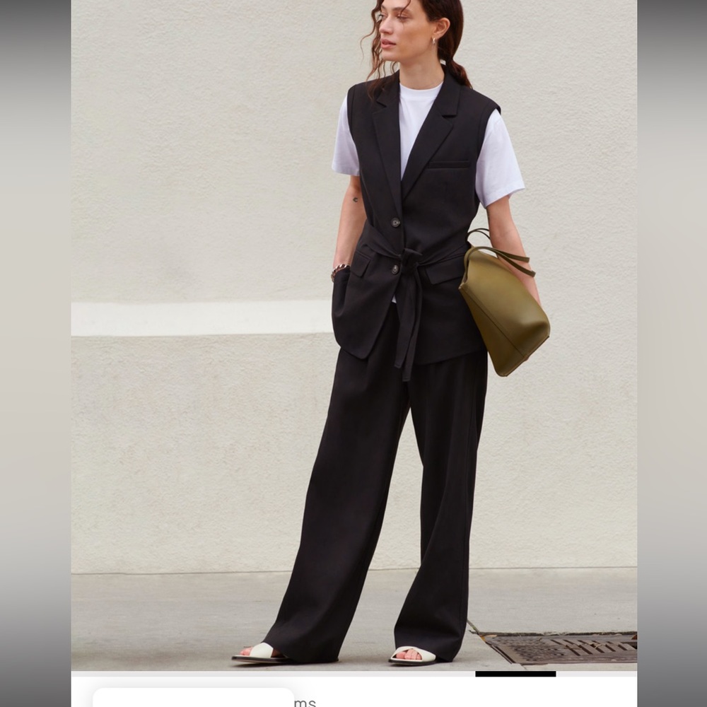 Everlane The Way High Drape Pant